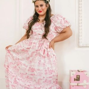 Pink Antoinette dress Ivy City CO.